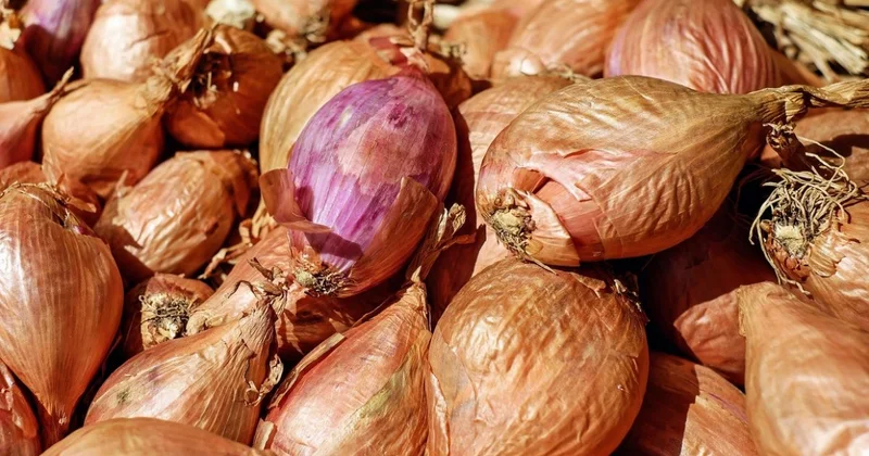 Лук в Казахстане может резко подорожать из за убытков аграриев