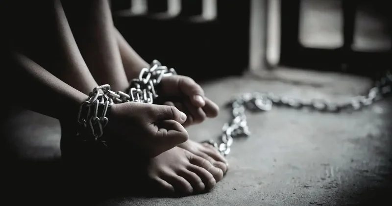 Младенец за миллион, вербовка бездомных и трудовое рабство: о новых фактах торговли людьми сообщили в МВД