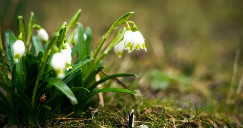 Қазақстанды үсік пен нөсер жаңбыр басады