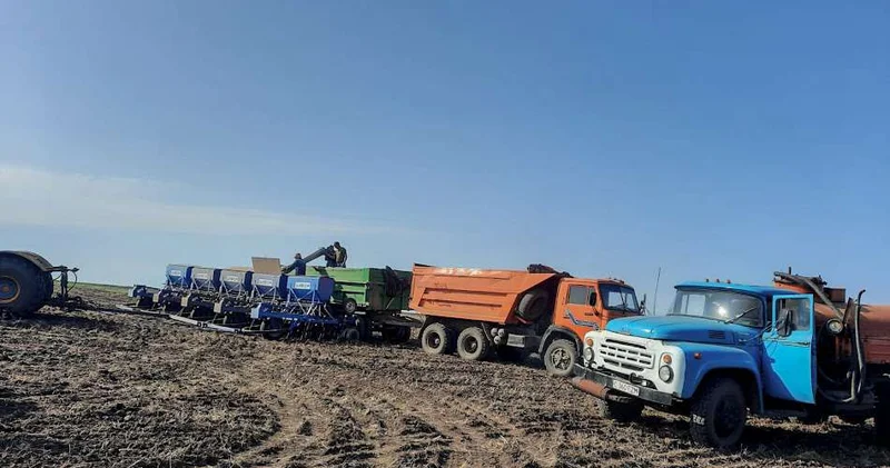 Выведены новые сорта