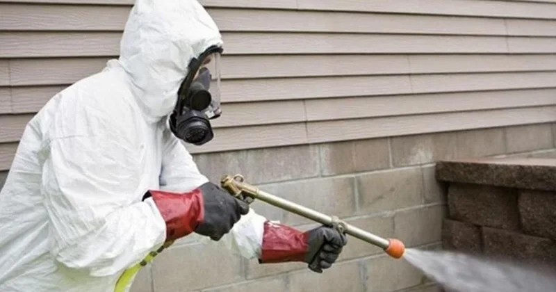 Астанада кеміргіштерге қарсы күрес екі маусымда өтеді