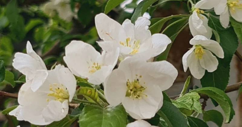 Бүгін ауа райы қандай болады