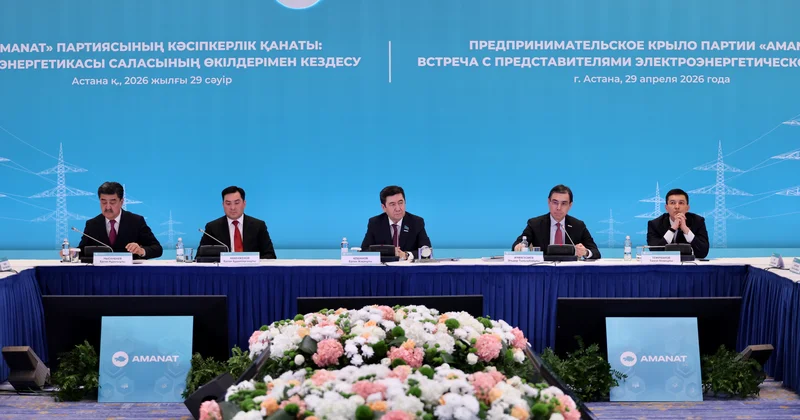 AMANAT партиясы энергетикадағы тариф пен кадр тапшылығы мәселесін көтерді