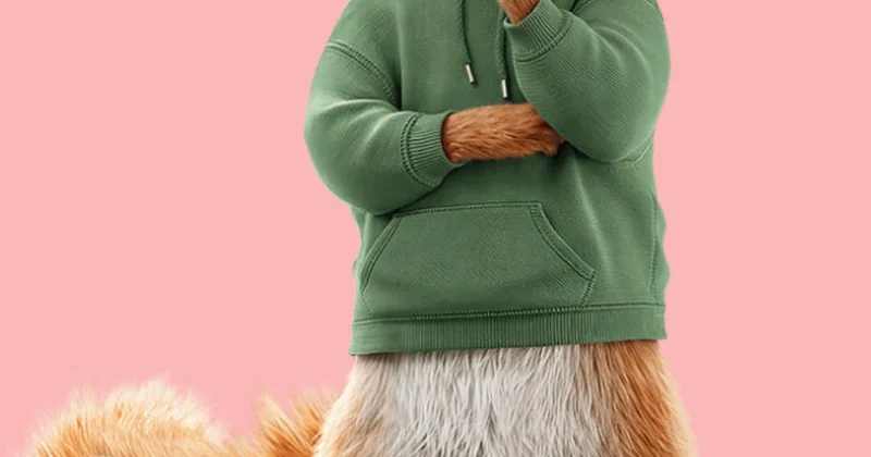 Мультяшная белка научит британцев инвестировать