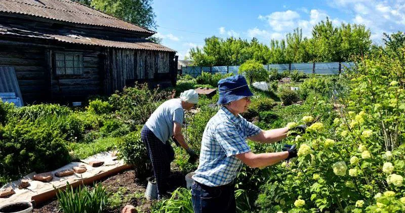 На огороде цифра помогает