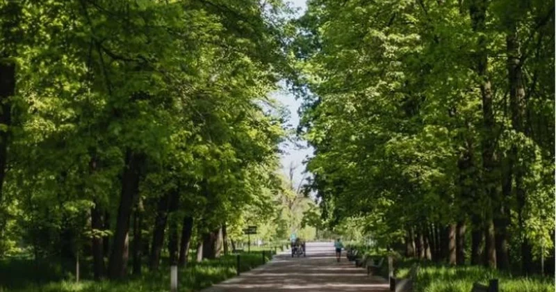 Главный ботанический сад Алматы закроют для посетителей