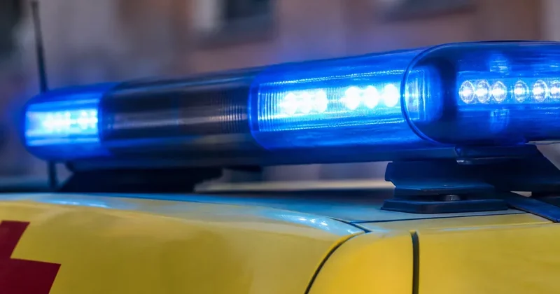 В Туркестанской области в страшной аварии погибли пятеро детей из одной семьи