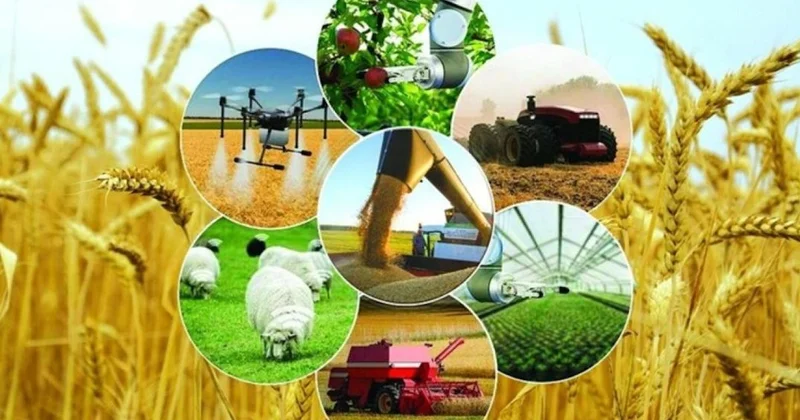Атырау облысында ауыл кәсіпкерлері жарты миллиард теңге қолдау алды