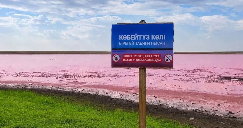 Природоохранные ограничения начали действовать на озере Көбейтұз
