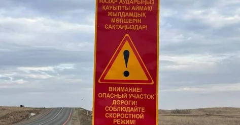 Число погибших в ДТП снизилось на 16% правительство