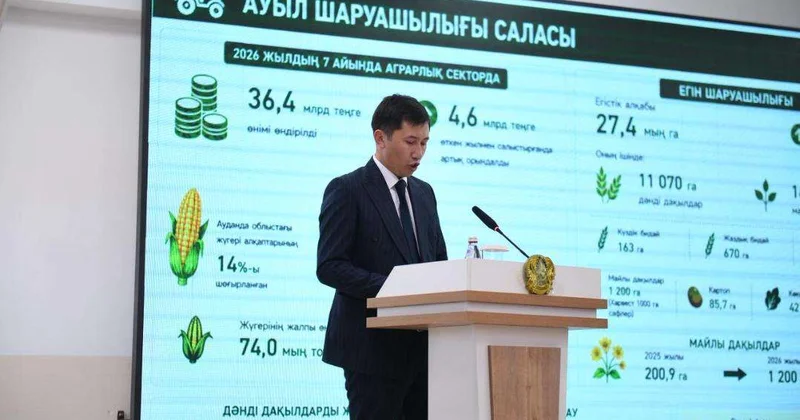 Шесть крупных инвестпроектов запустят в Алматинской области