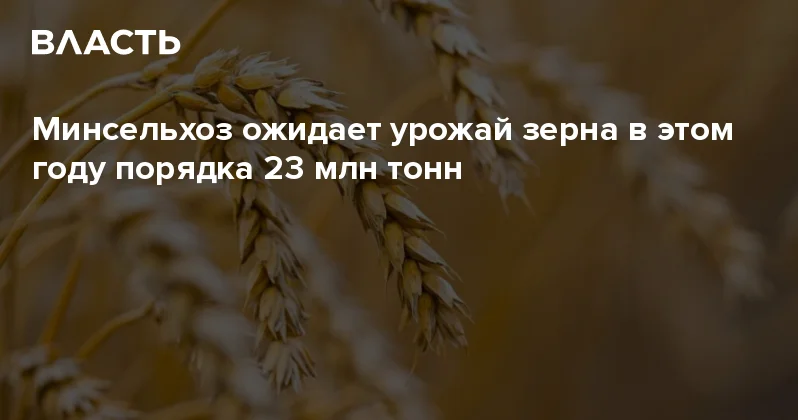 Минсельхоз ожидает урожай зерна в этом году порядка 23 млн тонн Аналитический интернет журнал Власть