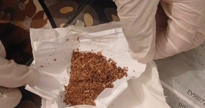 Ұлттық ұлан әскери қызметшілері 60 қа жуық күмәнді түйіншек тапты