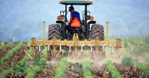 Казахстану важно сохранить урожай и темпы экспорта сельхозпродукции Бектенов