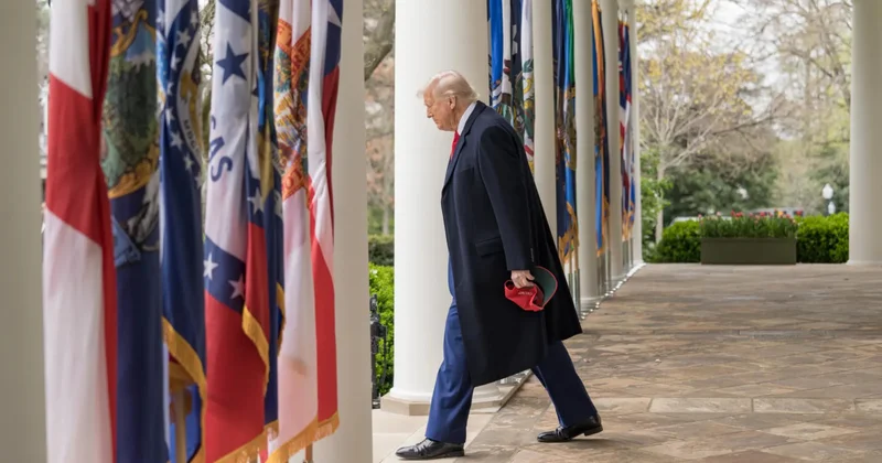 Террористік қастандық жасады деген күдіктілер босатылды: Трамп Ұлыбританияны сынға алды