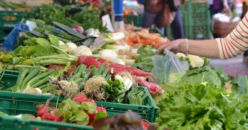 Ученые связали диету EAT Lancet и молекулярный профиль крови со снижением риска болезней