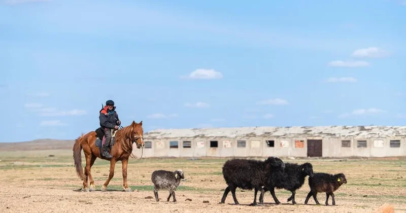Иностранцам начнут раздавать землю в Казахстане
