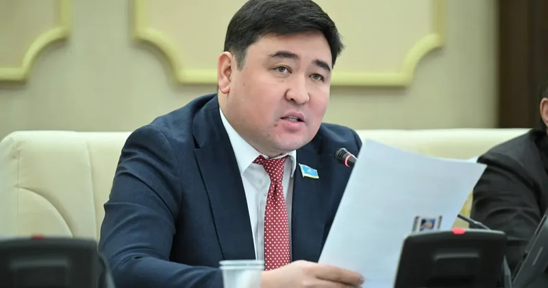 "Абыройды айрандай төгіп жүр". Депутат пранкшыл блогерлерді жауапқа тартуды сұрады