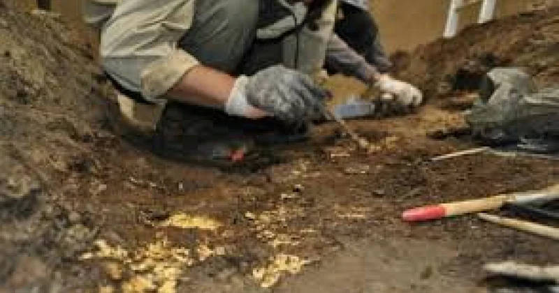 Қазақстанда археологиялық жұмыстардың бірыңғай ақпараттық жүйесі құрылады