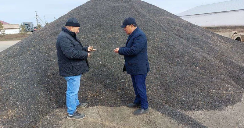 Масличные культуры требуют инвестиций