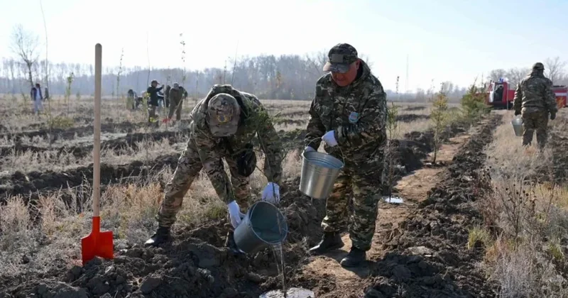 Семейде орман тұқымбағы ашылды
