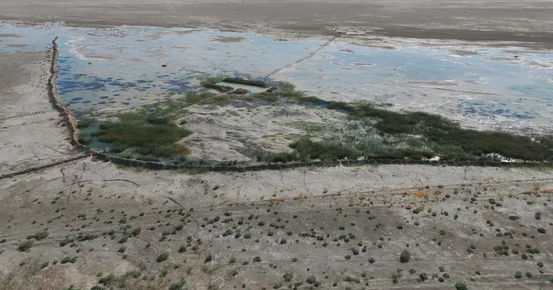 Улучшение экосистемы дна Арала: в Казахстане запускается проект мирового значения