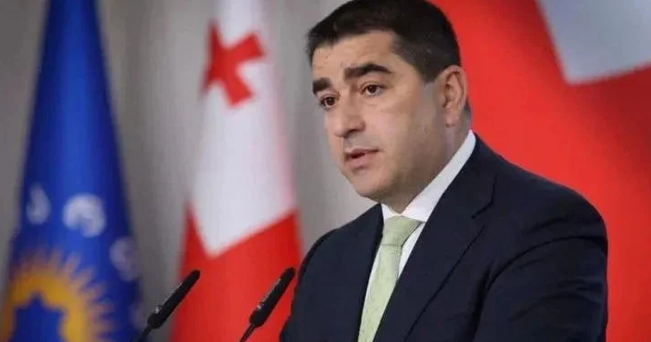 Грузия үш оппозициялық партия қызметіне тыйым салуды талап етті