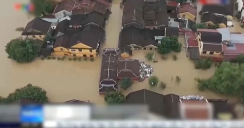 Вьетнамды су басты