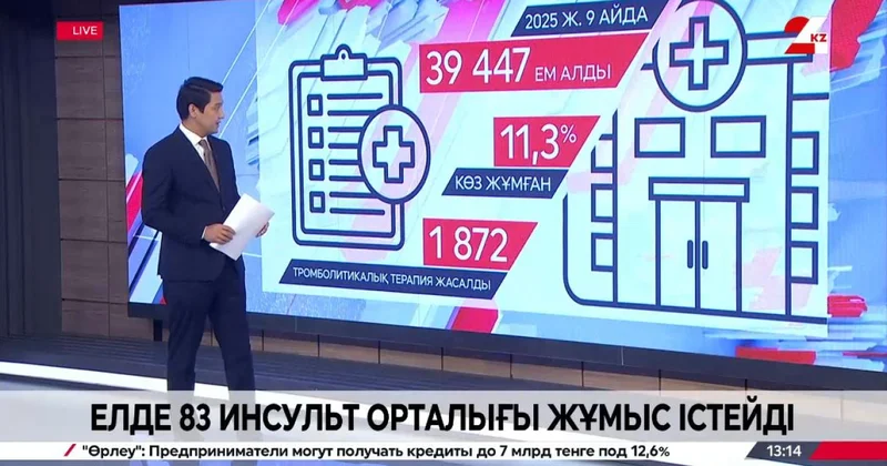 Елде 83 инсульт орталығы жұмыс істейді