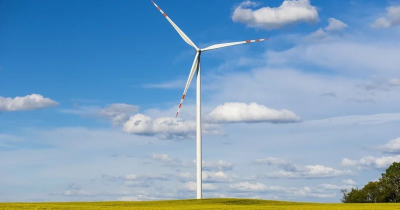 Казахстан и ЕС: зеленая энергетика как новый формат внешней политики