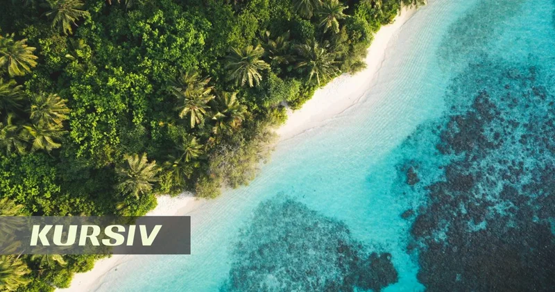 Woman dies after being left by cruise ship on small island