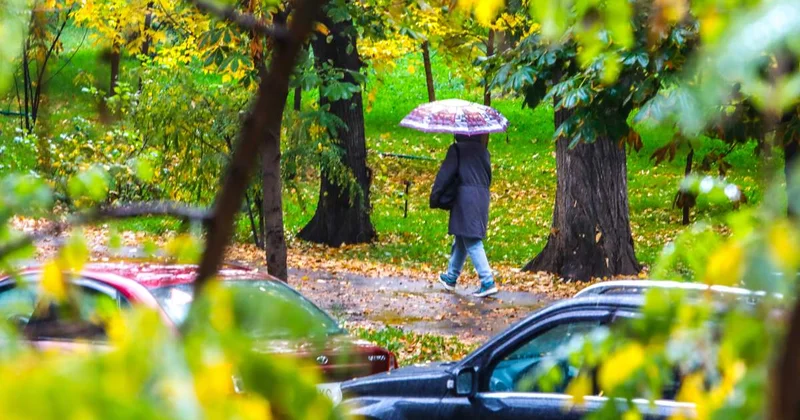 Бүгін елдің біраз аумағында жаңбыр жауады