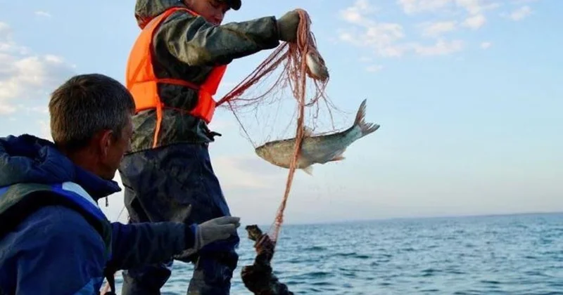 Қостанай осетр өндірістік қуатын екі есеге арттыруға дайын