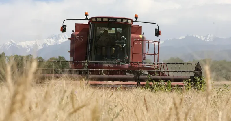 Елде ішкі нарықты қамтамасыз етуге жеткілікті астық бар Ауыл шаруашылығы министрлігі