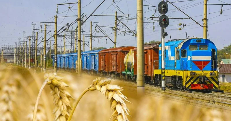 Биылғы астық қай нарықтарға экспортталады