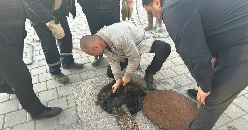 Сливайте куда положено