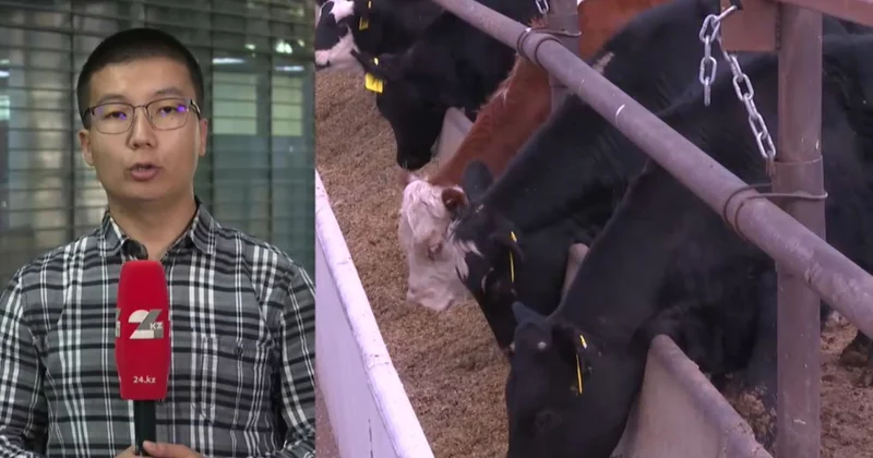 Еліміздегі әрбір мал сканерден өтеді