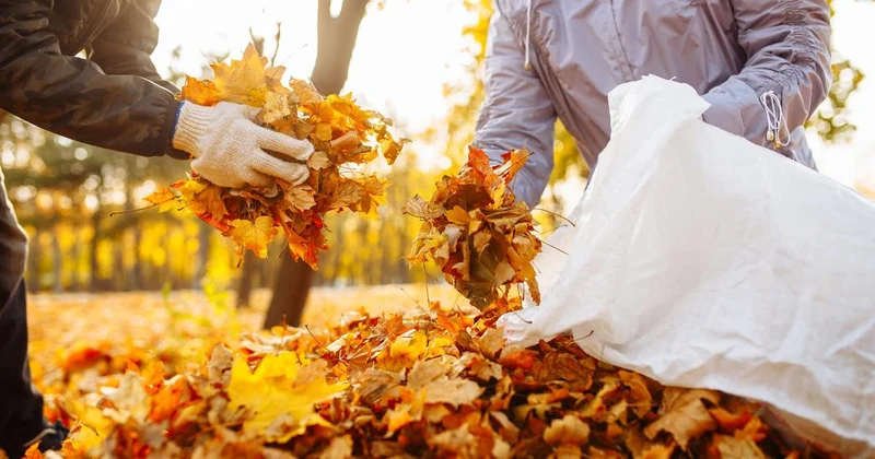 Чистота вокруг наш образ жизни: казахстанцы продолжают вносить экологический вклад в развитие страны