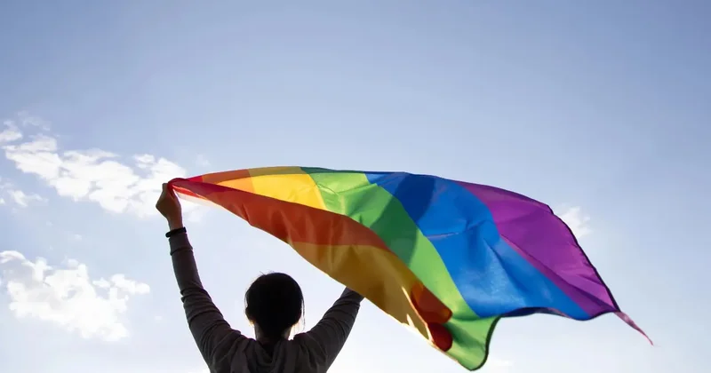 Депутат разъяснила норму о запрете ЛГБТ пропаганды, которую внесли в новый законопроект