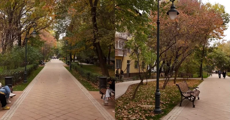 Алматыда үздіксіз жаяу жүргіншілер аллеясы үшін мейрамхана террасасы алынып тасталды