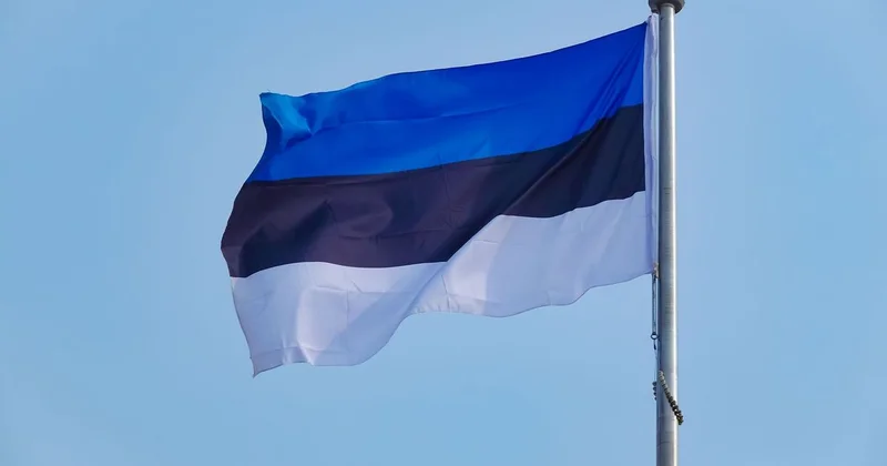 Эстония хочет построить 150 бункеров на границе с Россией