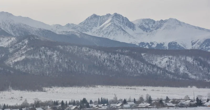 Бұқтырма бойы иен орман