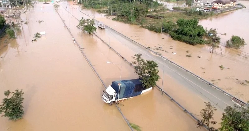 Оңтүстік Шығыс Азияда нөсер салдарынан 320 дан астам адам қаза тапты