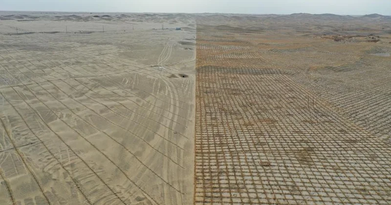 Қытай әйгілі Такла Макан шөлін жасыл белдеумен айналдыра қоршап жатыр