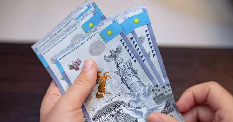 Павлодарда шенеунік жүкті әйелдерді жұмысқа тұрғызып , 200 млн теңге жәрдемақы алған