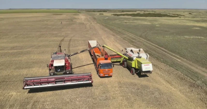 Елімізде астық экспортын қолдауға 7 млрд теңге бөлінді