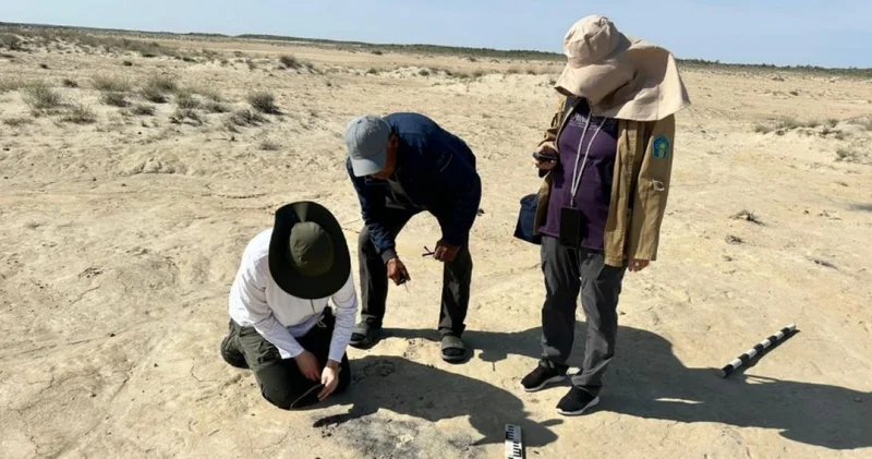 Құнды мұралар көмбесі