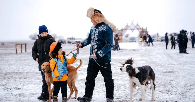 Турнир Aбай салбурыны 2025 собрал рекордное число сокольников