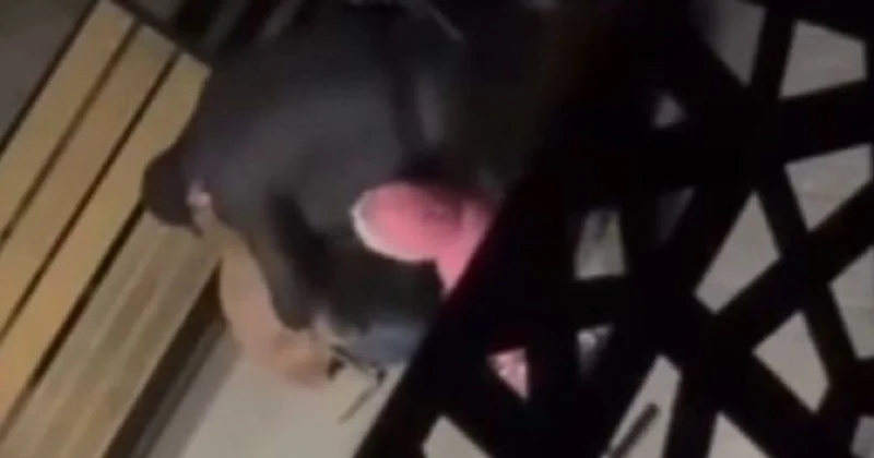 Жаловалась, что у нее болят ребра : женщину избили на глазах у ребенка в Таразе