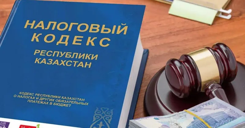 Үкімет жаңа Арнаулы салық режиміне арналған қызмет түрлерінің тізімін бекітті